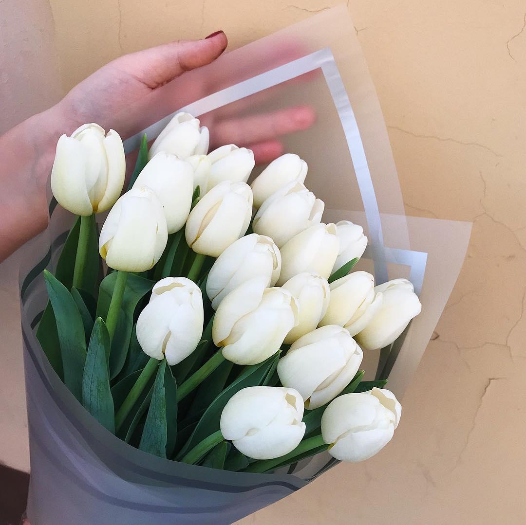 Белые маленькие тюльпаны